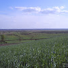 s4031313.jpg s4031313.jpg