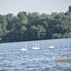IMG_7829.JPG