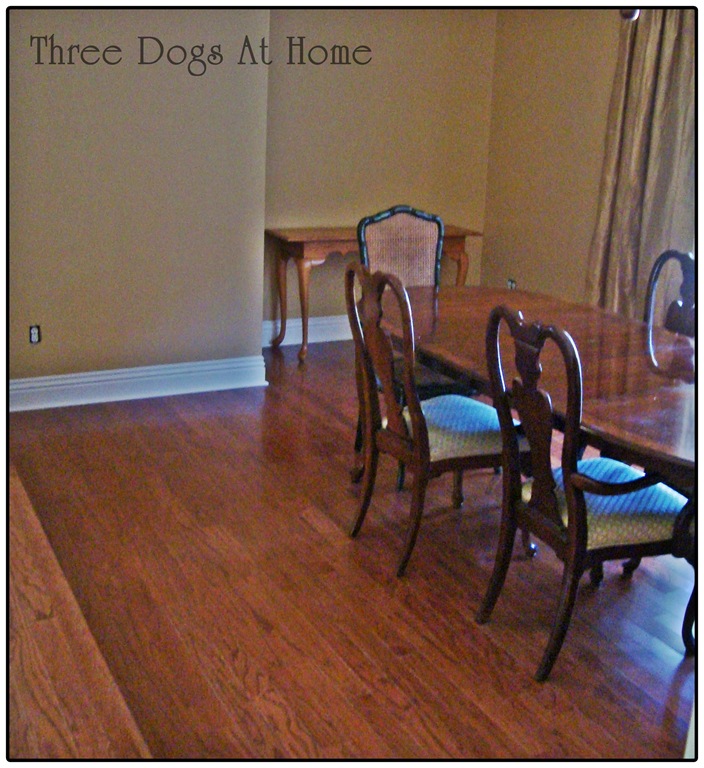 [house%2520pics%2520130%255B1%255D.jpg]