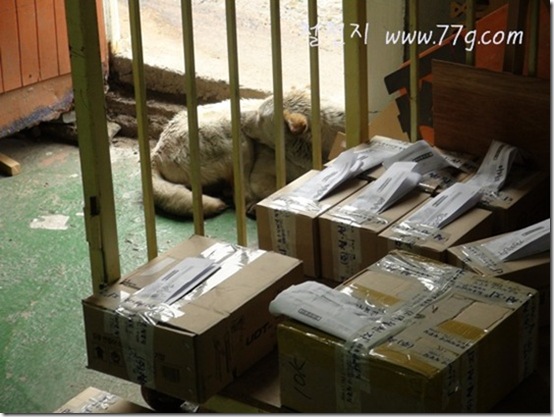 철천지DSC05232-20120410-144354 철천지DSC05232-20120410-144354