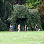20100815_132_small.JPG