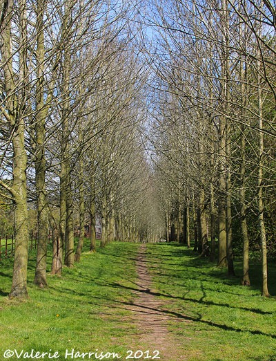 [1-Avenue%255B2%255D.jpg]