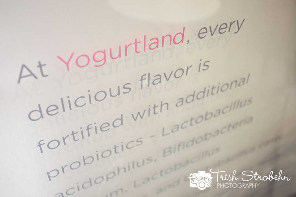[Yogurtland-LV-043%255B4%255D.jpg]