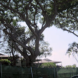 IMG_0912.JPG