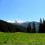 MajowkaWZakopanem