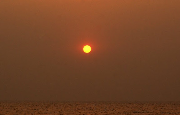 7jan2010.jpg