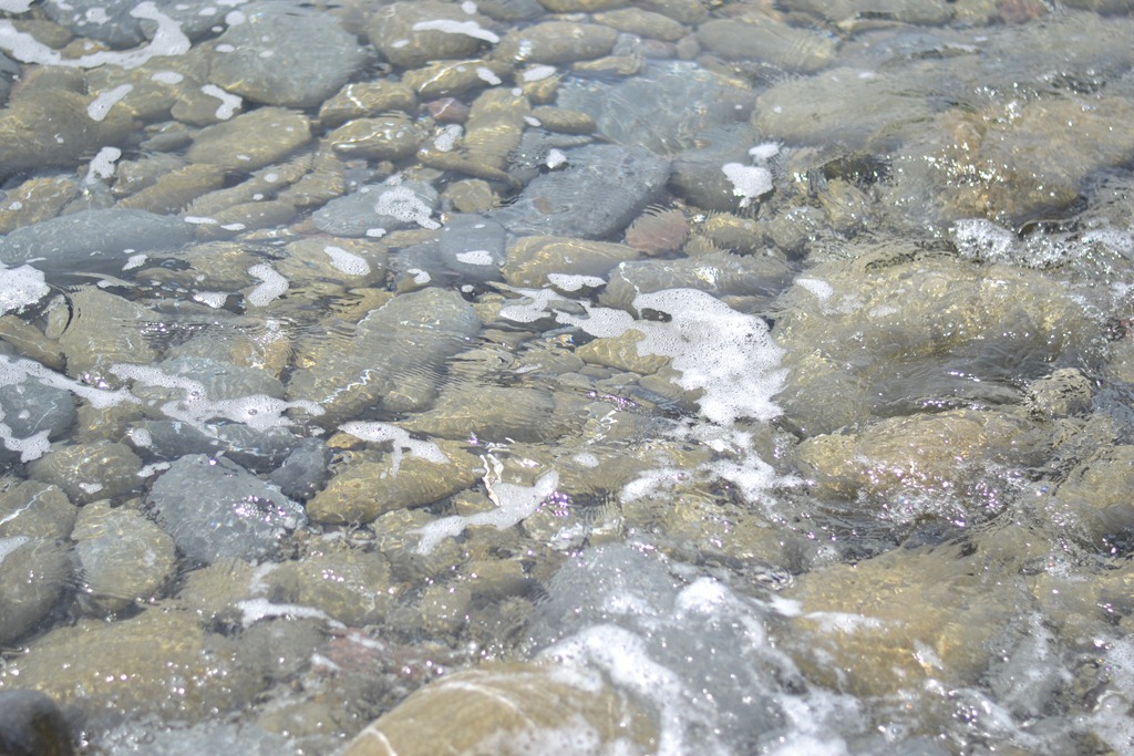 [DSC_0305%255B3%255D.jpg]