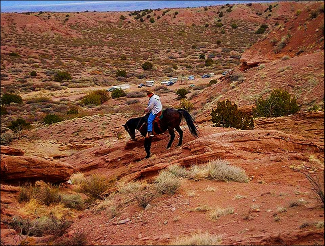 billandhorsetrailers