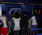 AVATAR in 3D at the 3D Experience Viewing Wall.