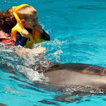 La plimbare cu delfinii