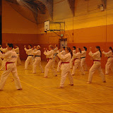 Master Harrison Seminar 2011 - IMGP3146.JPG
