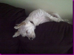 sleeping