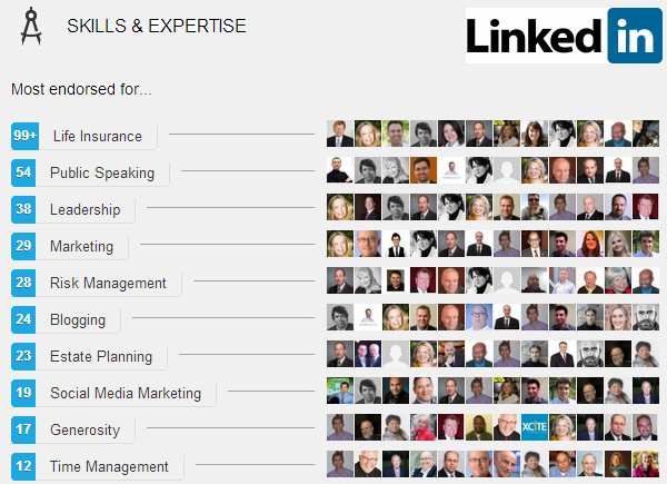 [LI%2520Skills%2520and%2520Expertise%25202013-02-18%2520600x435%255B3%255D.png]