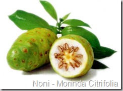 suco-de-noni-para-emagrecer suco-de-noni-para-emagrecer