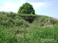 dsc06853.jpg