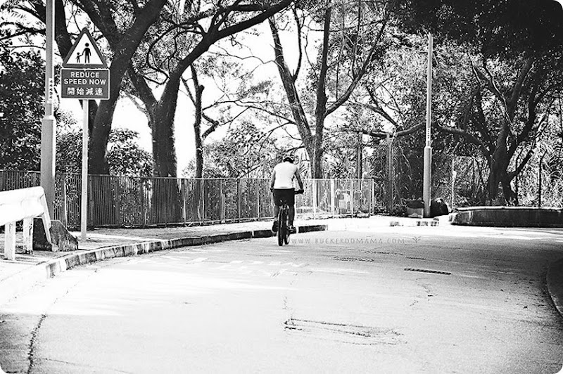 Cyclist-(1) Cyclist-(1)