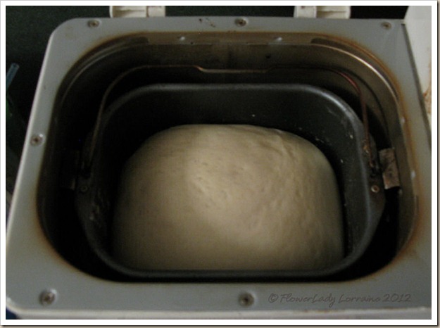 12-30-pizza-crust-dough