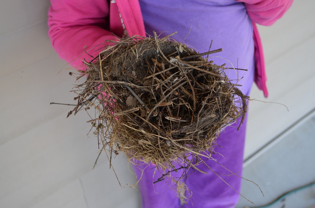 [DSC_4038%255B3%255D.jpg]