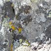 DSCN7516.jpg