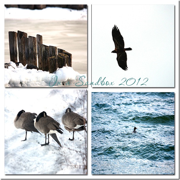 Lakeside collage