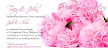 Pink Peonies 3 Flat Invitation