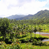 Looking Into The Valley - Savusavu, Fiji