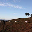 IMG_7720.JPG