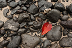 Honeymoon-672.jpg