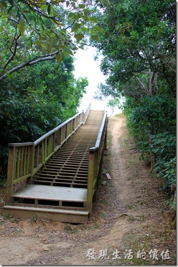 屏東-旭海大草原。牡丹鄉公所在很多地方都建造了這種木梯步道，取代以前用纜繩攀爬的道路，雖然路面變好走了，不過原來的樂趣也不見了。