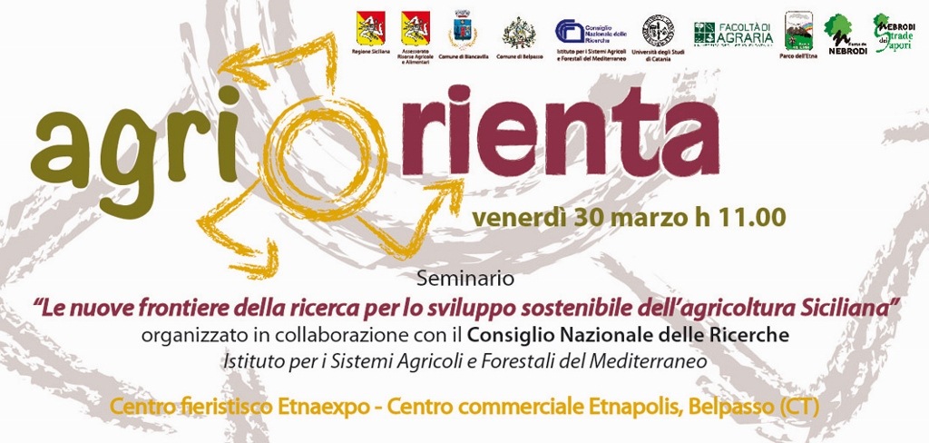 [CONVEGNO%25202_1%2520%25281024x488%2529%255B3%255D.jpg]