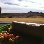 The view at lunch
