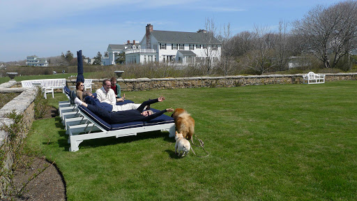 Martha!  The Frenchies and I are having such a wonderful time with all of your friends!  Please say we can come back soon!