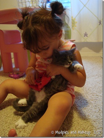 DSC03353 DSC03353