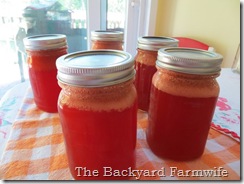 strawberry canning day - The Backyard Farmwife