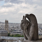 DSC_0173.jpg