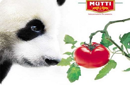 Mutti_Panda_natura_275x402.indd Mutti_Panda_natura_275x402.indd