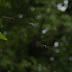 P1110277