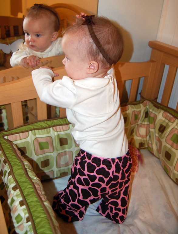 [crib5%255B5%255D.jpg]