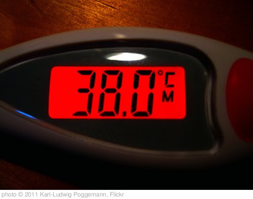 '38.0 °C - display of human body temperature by a digital thermometer' photo (c) 2011, Karl-Ludwig Poggemann - license: http://creativecommons.org/licenses/by/2.0/