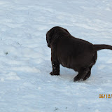 IMG_1961.JPG