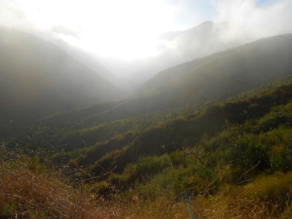 [DSCN5505.jpg]
