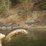 05 May fly fishing Bitterroot, Big Hole and Missouri Rivers