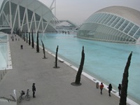 IMG_2169 IMG_2169