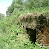 dsc06732.jpg
