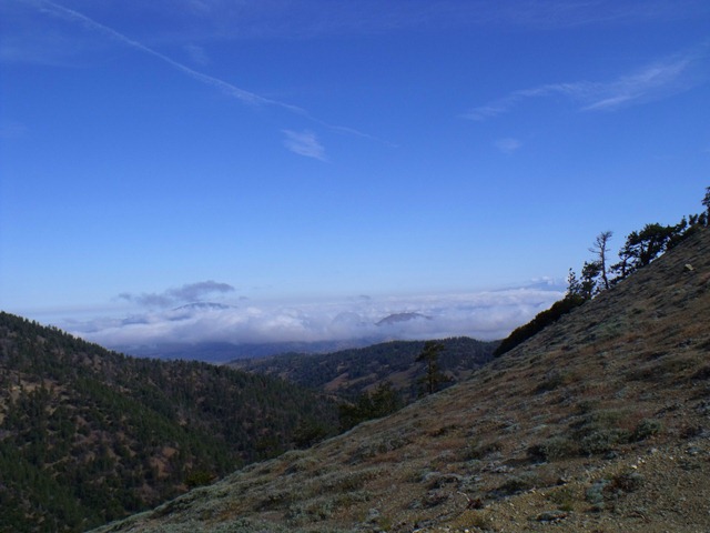 [pics%2520019%255B4%255D.jpg]