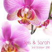 Pink Orchid 2 Folded Invitation