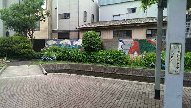 IMAG3540.jpg