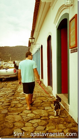 viagem com cachorro pet friendly Paraty rj praia cachoeira restaurantes hotéis aceitam cachorro