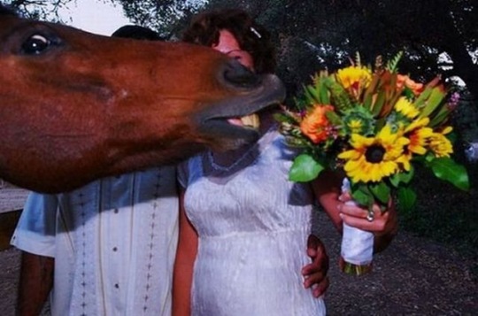 [viral-picdump-lol-2dd1e9%255B2%255D.jpg]