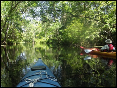 Wekiwa Springs State Park (79)